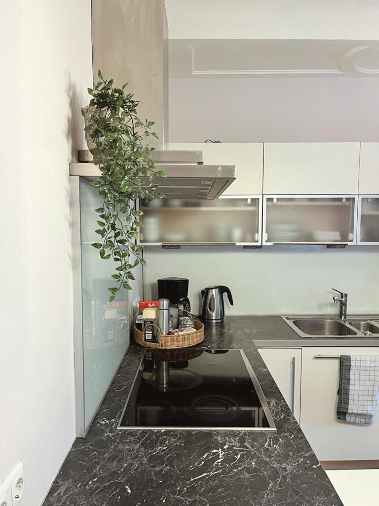 Taferne In Koestendorf - Ferienwohnung Monteurzimmer Neumarkt am Wallersee Ngoại thất bức ảnh